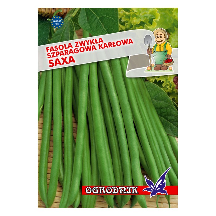 Nasiona Fasola zielonostr. Saxa 40g
