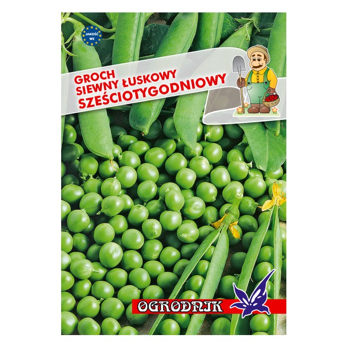 Nasiona Groch łuskowy Sześciotygodniowy 40g Nasiona Groch łuskowy Sześciotygodniowy 40g