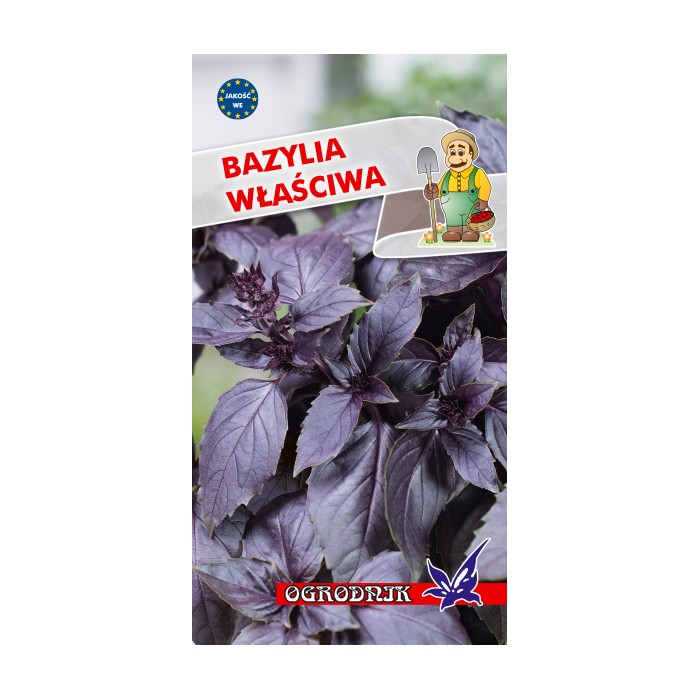 Nasiona Bazylia właściwa czerwona 0,5g