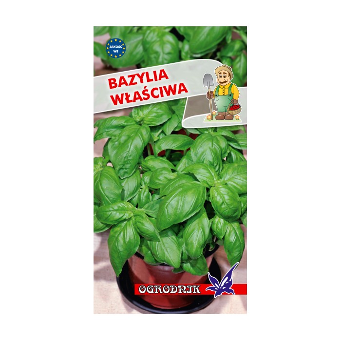 Nasiona Bazylia zielona 1g Nasiona Bazylia zielona 1g