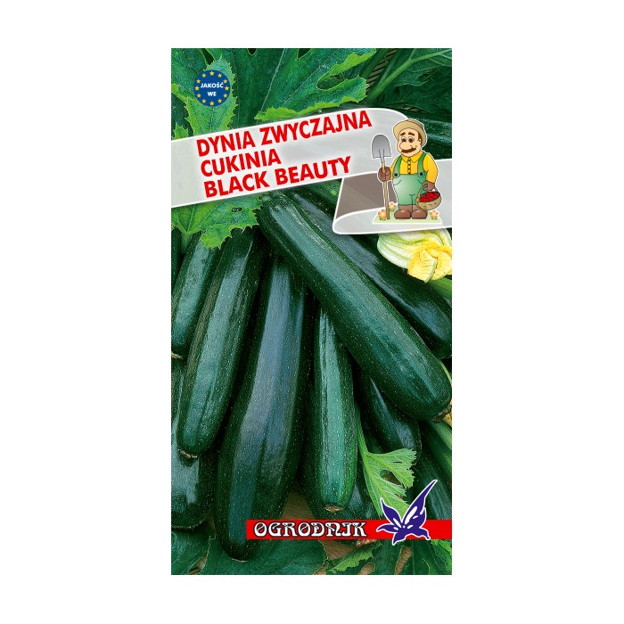 Nasiona Dynia zw. cukinia Black Beauty 2g
