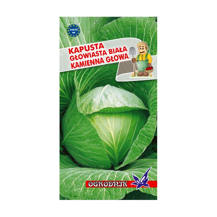 Nasiona Kapusta biała Kamienna Głowa 2g Nasiona Kapusta biała Kamienna Głowa 2g