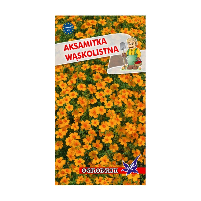 Nasiona Aksamitka wąskolistna pomarańczowa 0.5g