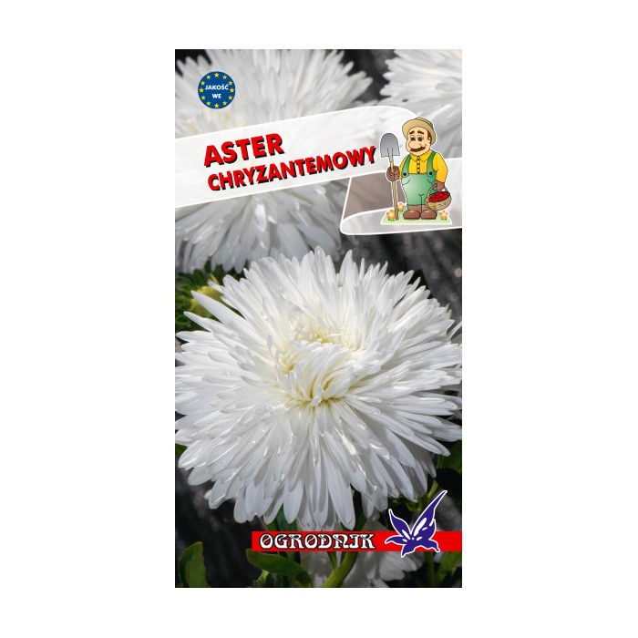 Nasiona Aster chryzantemowy biały 1g