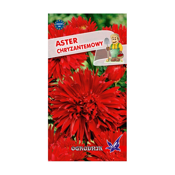Nasiona Aster chryzantemowy czerwony 1g
