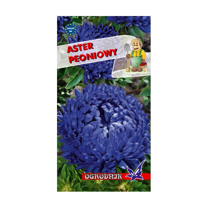 Nasiona Aster peoniowy niebieski 1g