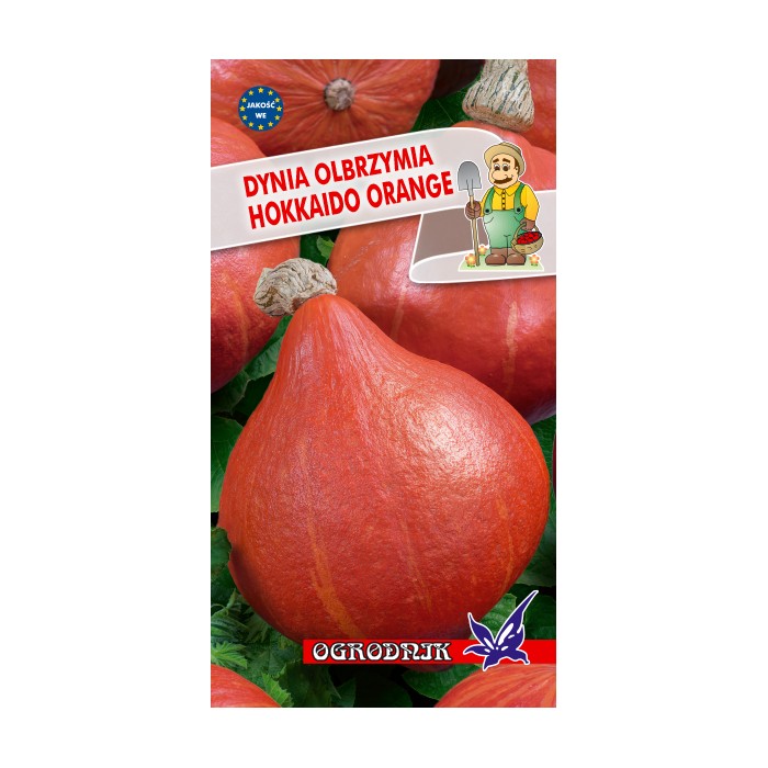 Nasiona Dynia Hokkaido Orange 3g Nasiona Dynia Hokkaido Orange 3g