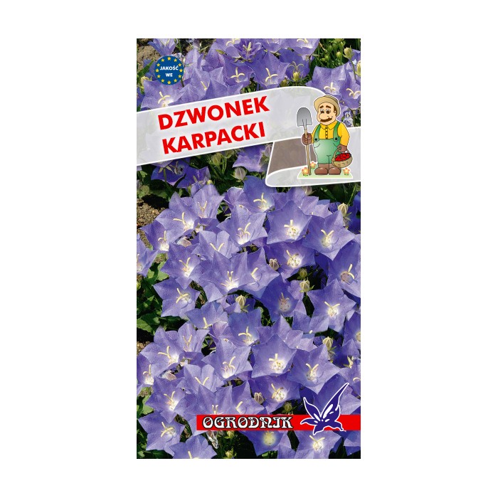 Nasiona Dzwonek karpacki niebieski 0,5g