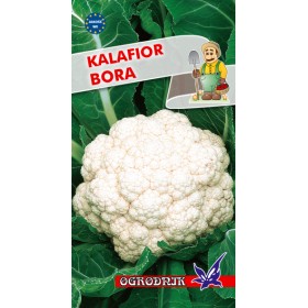 Kalafior Bora 1g
