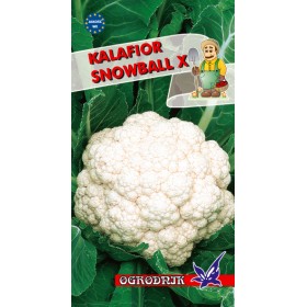 Kalafior Snowball X 1g