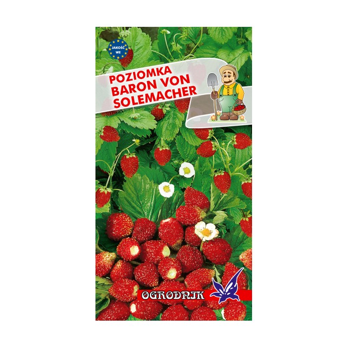 Nasiona Poziomka Baron von Solemacher 0.2g