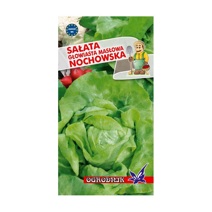 Nasiona Sałata masł.Nochowska 2g Nasiona Sałata masł.Nochowska 2g