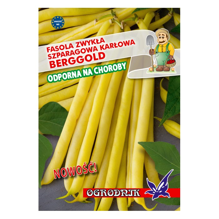 Nasiona Fasola żółtostr. Berggold 40g Nasiona Fasola żółtostr. Berggold 40g