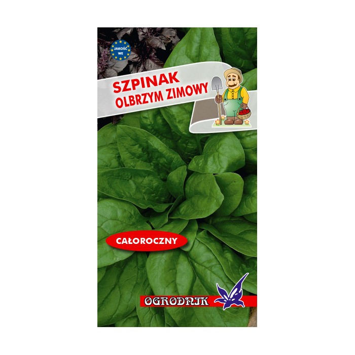 Nasiona Szpinak Olbrzym Zimowy 10g Nasiona Szpinak Olbrzym Zimowy 10g