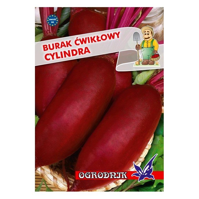 Nasiona Burak Cylindra 10g