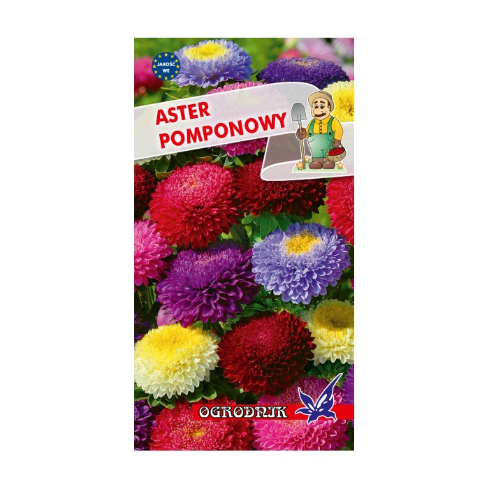 Nasiona Aster pomponowy 1g Nasiona Aster pomponowy 1g