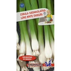 Cebula siedmiolatka Long White Ishikura 2g