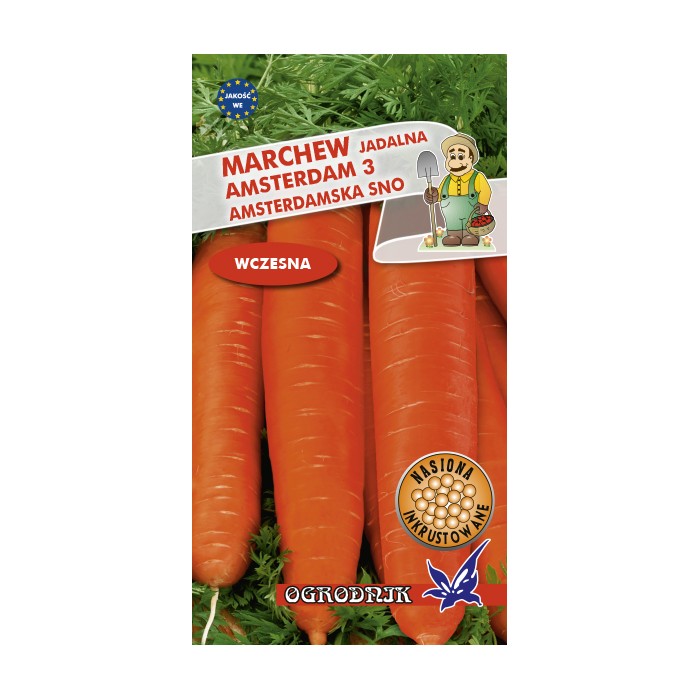 Nasiona Marchew Amsterdam 3 Amsterdamska SNO 5g