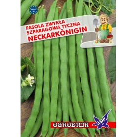Fasola tyczna Neckarkönigin 10g