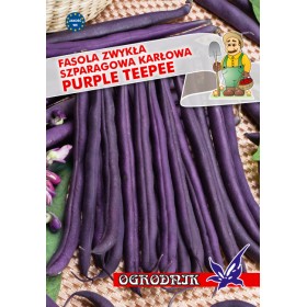 Fasola fioletowostr. Purple Teepee 40g