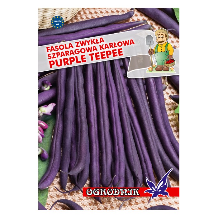 Nasiona Fasola fioletowostr. Purple Teepee 40g